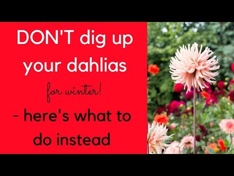 DON'T