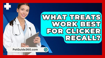 What Treats Work Best For Clicker Recall? - PetGuide360.com