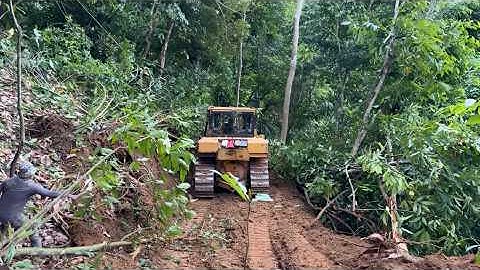 The Caterpillar D6R XL Bulldozer Is Clearing a Path in a Very Difficult Forest Terrain!