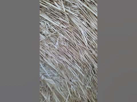 стоги сена - YouTube