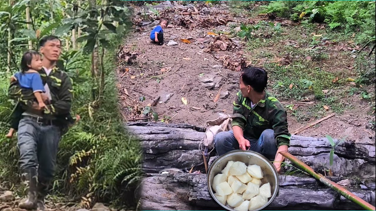 The man went into the forest to dig up a giant cassava root to cook for ...