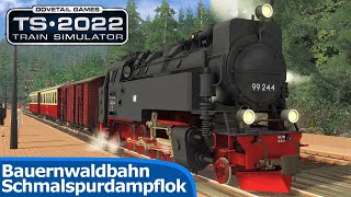 BAUERNWALDBAHN: Schmalspurdampflok - BR 99 | TRAIN SIMULATOR 2022 | Personenzug mit Güterbeförderung