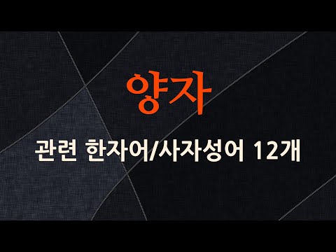 양자에 관한 한자어/사자성어 12개