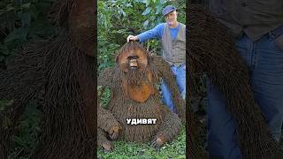 Удивительные и необычные фотографии которые удивят каждого #факты #фото #фотография