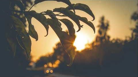 تلاوه تشعرك بالراحه