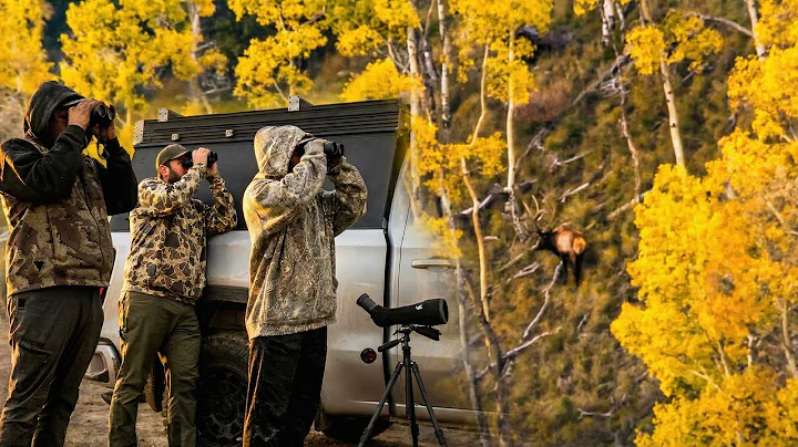 NEW MEXICO ELK HUNT | HUSH 4K FILM |