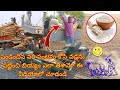 పండించిన వరి పంటను కోసి 🌾 వడ్లను పట్టించి బియ్యం 🍚 ఎలా తీశామో ఈ వీడియోలో చూడండి 🌾🍚rice #what next !