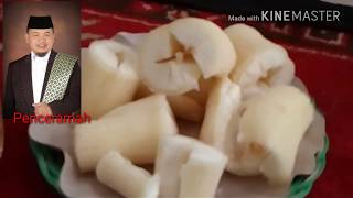 Contoh Sambutan Sesepuh Acara Silaturahmi Keluarga