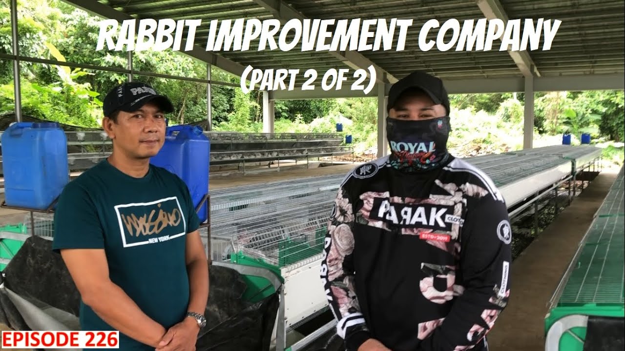 RABBIT FARMING - RABBIT IMPROVEMENT COMPANY (PART 2 OF 2) - YouTube