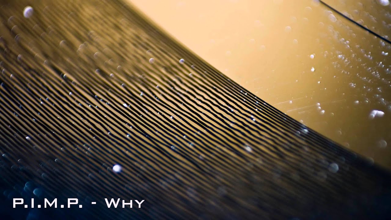 Παρακολούθηση P.I.M.P. - Why? στο YouTube Παρακολούθηση P.I.M.P. - Why? στο YouTube