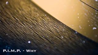 P.I.M.P. - Why? @Toadcop