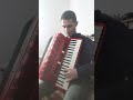 Sarba acordeon  (cover Mi-e dor de voi - OLEG ANTOCI)