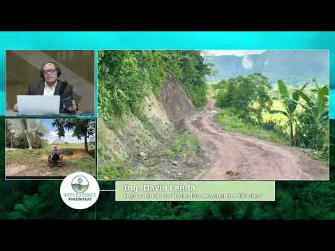 ÁREAS NATURALES PROTEGIDAS Y DESPROTEGIDAS EN LA AMAZONÍA