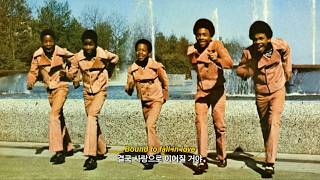 이건 이미 정해진 감정이야 | Ponderosa Twins Plus One - Bound [가사 해석]
