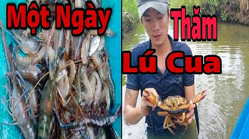 Một Ngày Thăm Lú Cua Biển(12 Cửa Ngục) TVD Văn Duy Vlogs #22