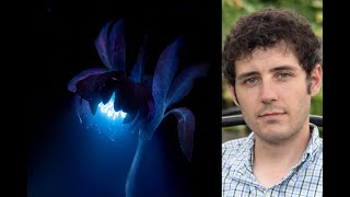 Macro Photography Mastery: The Universe at Our Feet with Don Komarechka @DonKomarechka