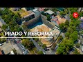 Prado norte y reforma cdmx abril 2024  wwwedemxcom