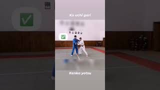 ko uchi gari training kenka yotsu #judo