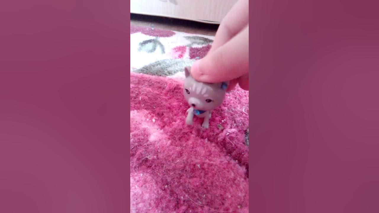 Мой котик и баллоны с краской - YouTube
