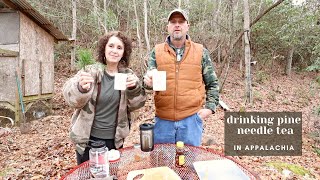 Matt Loves to Make Pine Needle Tea - It's Good for You!