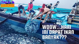 Download Lagu ZOEK NAAR VIS IN DE ZEE - VANDAAG KRIJG VEEL VIS - ZEGEN ZOON MP3