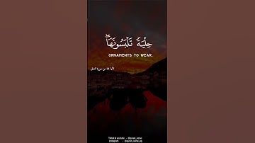 قرأن كريم راحة نفسية || حالات واتساب دينية || أفضل التلاوات لأفضل القراء || القارئ الشيخ صوت جميل