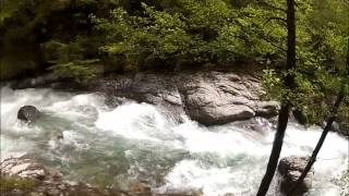 Taverone Torrente