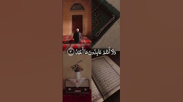 سورة الكافرون | الشيخ فارس عباد