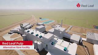 Inside Red Leaf’s Alternative Fibre Pulp Mill | Virtual Tour