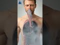 What Happens If You Smoke Right Now? 🚭 | 3D Medical Realism