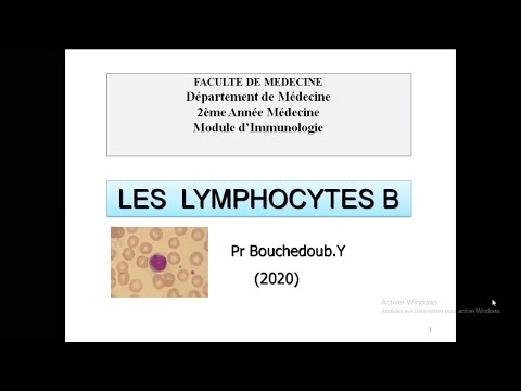 Vidéo: Mécanismes De Régulation Des Réponses Des Lymphocytes B Et Implication Dans Les Maladies Liées Aux Lymphocytes B