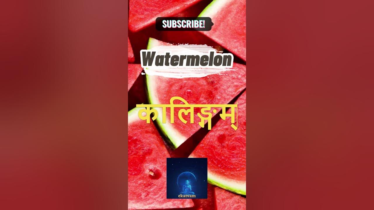 essay on watermelon in sanskrit