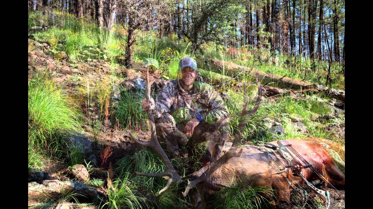 Gila 16A Elk Hunting Trip Sept 2013 YouTube gila-16a-elk-hunting-trip-sept-2013-youtube