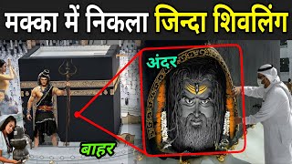 मक्का में निकला जिन्दा शिवलिंग | Shivling Found In Makkah | Makka Madina Shivling Video