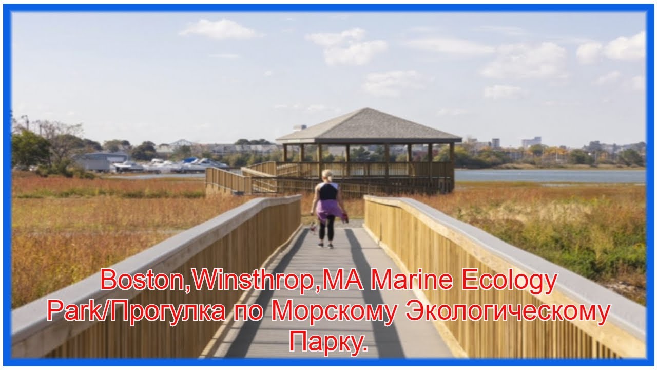 Boston, Winthrop, MA Marine Ecology Park/Прогулка по Морскому Экологическому Парку.