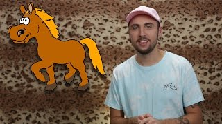 видео Костюм для лошади
