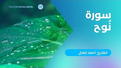 ما تَيسَّر من سورة نُوح || تلاوة لَآمعہ🌺 🎙 أَحمد جَمال.