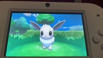 Full odds shiny eevee 2nd encounter of the day! Pokemon X