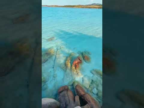 Look how clear the water on this island in Italy is! 😍 // Location: Sardinia, Italy… #Italy #Travel