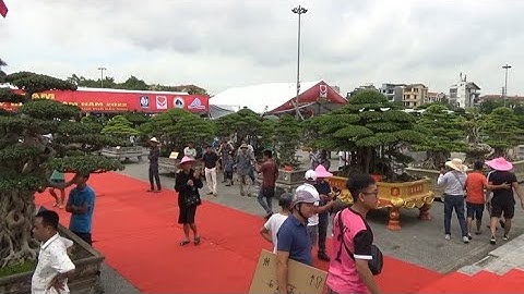Toàn cảnh triển lãm cây cảnh Bắc Ninh lớn nhất trừ trước đến nay,27/8/2022