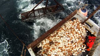Journey to Sustainable Fisheries: 40 Years Under the Magnuson-Stevens Act