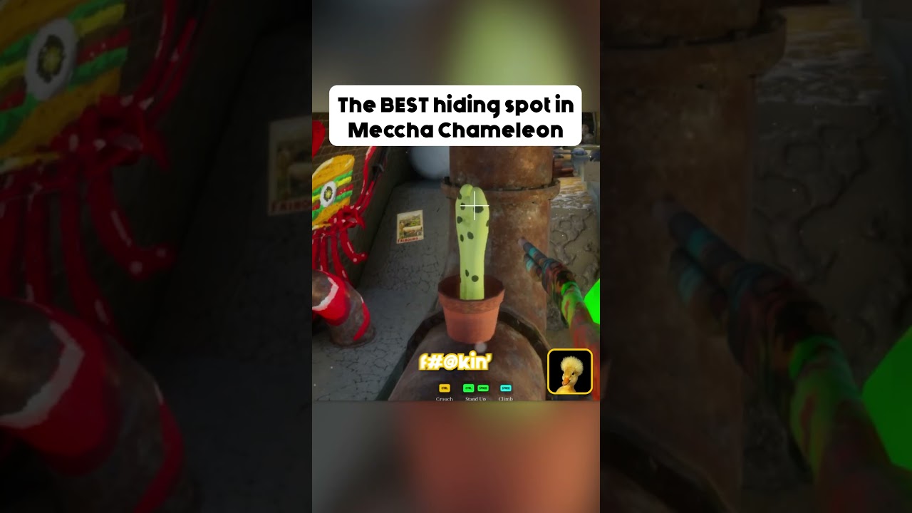 The Best Spot EVER #shorts  #funny #funnymoments #gaming #newgame #indiegame #mecchachameleon