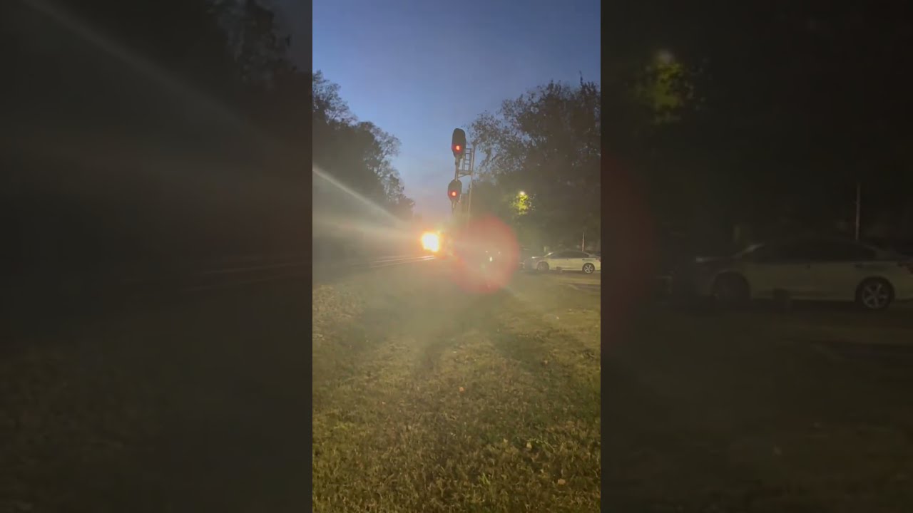 Amtrak PO79 Meets PO74 At Waffle House Signals 11 17 24 Train Amtraktrain