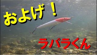 水中観察～ Rapala COUNTDOWN