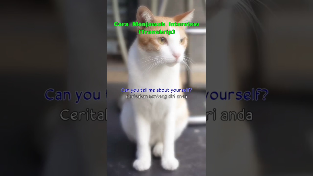 Cara Menjawab Interview Kerja dalam Bahasa Inggris. Semoga Mendapatkan Pekerjaan Impian