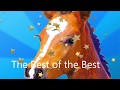 The best of the best horses