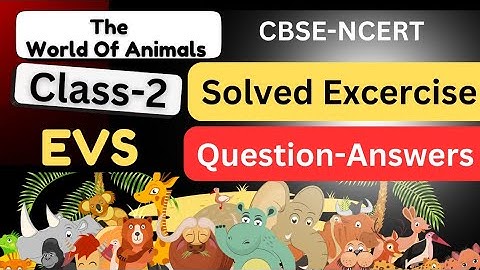 SOLVED EXCERCISE | The World Of Animals(Ch-14) | Class2 | EVS | CBSE-NCERT |