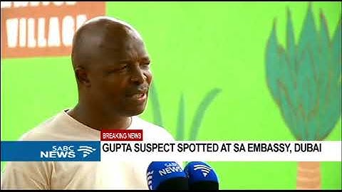 Environmental Monitors project yields good results