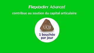 Flexadin Advanced - Traitement Anti Arthrose Chien - Vetostore