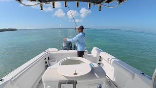 FREE Live Bait (Pilchards) in the Florida Keys using a Sabiki Rig & Dehooker